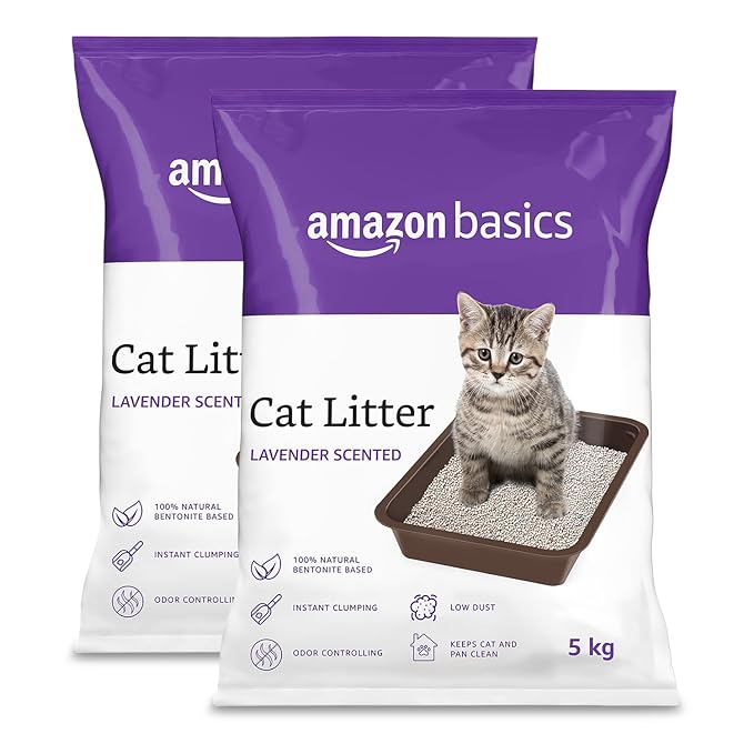 🐾 Amazon Basics Scoopable Smart White Bentonite Scented Cat Litter (10 Kg) – Full Review & Buying Guide (2025)